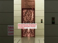 धातु इस्पात गुआ शा कीमत लिफ्ट यात्री लिफ्ट नियंत्रक