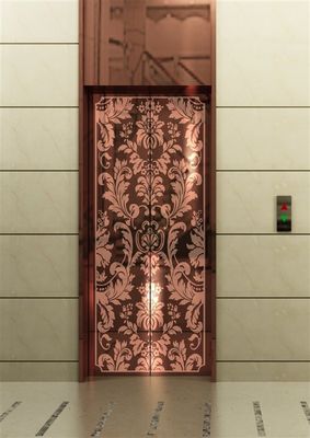 अच्छा दाम धातु इस्पात गुआ शा कीमत लिफ्ट यात्री लिफ्ट नियंत्रक ऑनलाइन